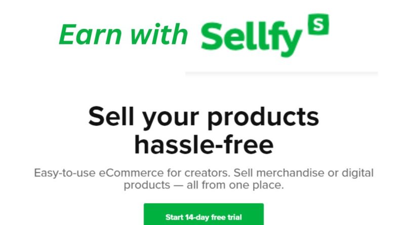 Earn with Selfy .com