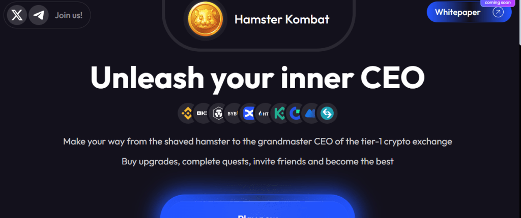 How might I get remembered for the hamster battle local area? You can associate the hamster battle local area by partaking in web-based get-togethers,